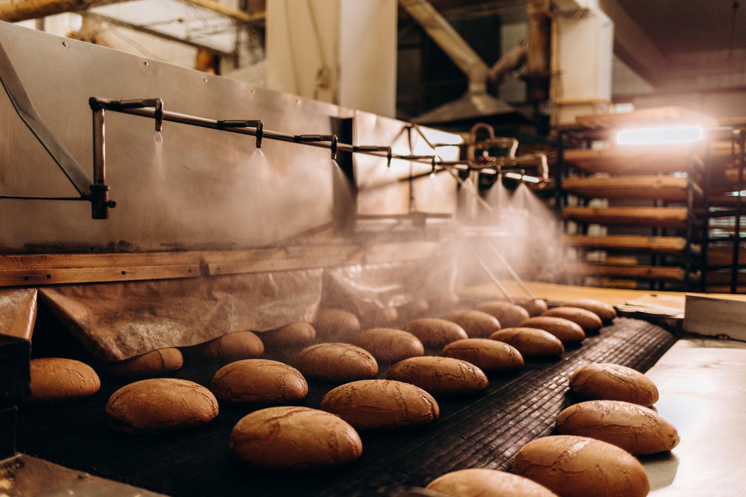 Azienda produttrice di pane