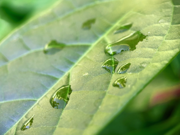 Agricultural Mineral Products